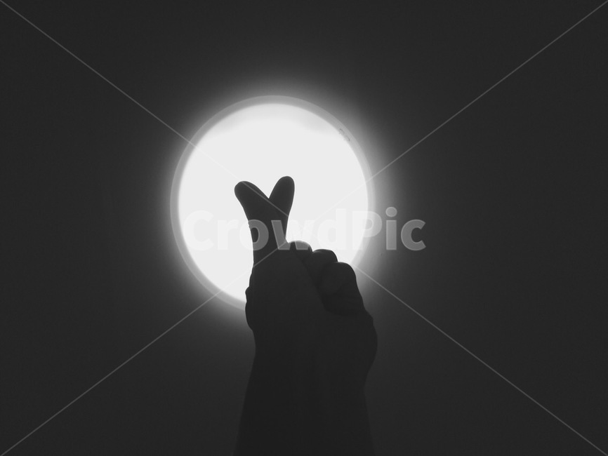 흑백사진,하트,손,사랑,black,heart