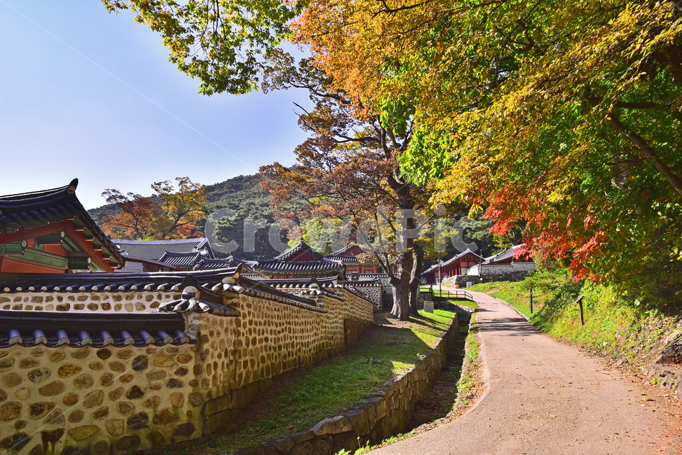 남한산성,세계문화유산,가을배경,한국전통,건축물,행궁,유네스코,unesco,보존,역사,돌담,가을풍경,복원,outdoors,nature,한국자연경관,숲,환경,야외,outdoor,기와집,자연,옥외,autumn,fall,season,길,산책로,비포장도로,흙길,땅,대지,도로,한적한,배경,바탕,백그라운드,background,가을,계절,fall,autumn,season,랜드마크,landmark,tourist attraction,한국랜드마크,한국관광지,한국명소,korea landmark,korea tourist attraction,tree,나무,plant,식물