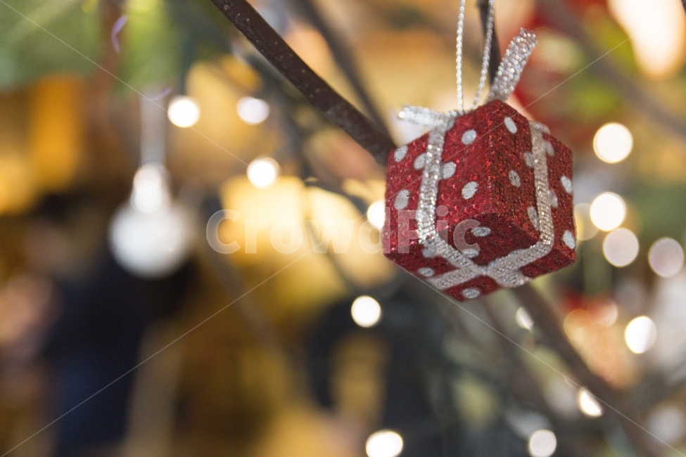 크리스마스,선물,박스,리본,크리스마스선물,빨강,성탄절,선물상자,기념일,트리,장식,배경,겨울,나무,반짝이,보케,휴일,메리,빛나는,흐릿한,조명,초점,상자,이벤트,서프라이즈,12월25일,연말,오브젝트,겨울,계절,winter,season,기념일,축하,anniversary,congratulation,celebrate,celebration,메리크리스마스,성탄절,merry christmas,사물,물건,오브젝트,thing,object,matter