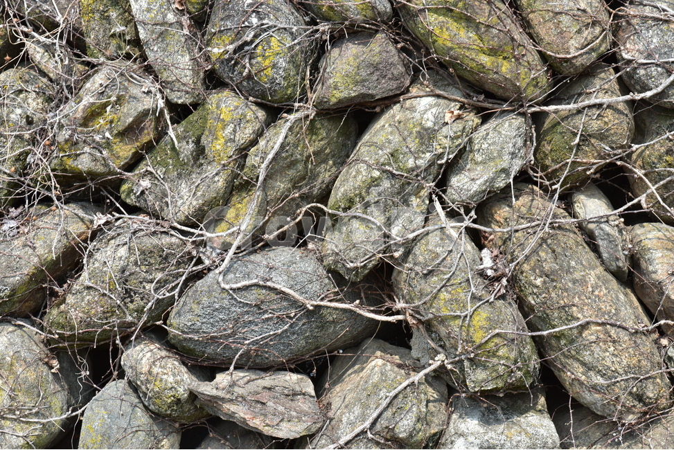 돌담,돌각담,시골골목길,시골풍경,운치,돌담길,시골골목,감성,자연,풍경,nature,landscape,rock,록