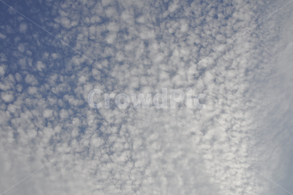 cloud,cloudy,sky,하늘,구름,자연,nature,자연,풍경,nature,landscape