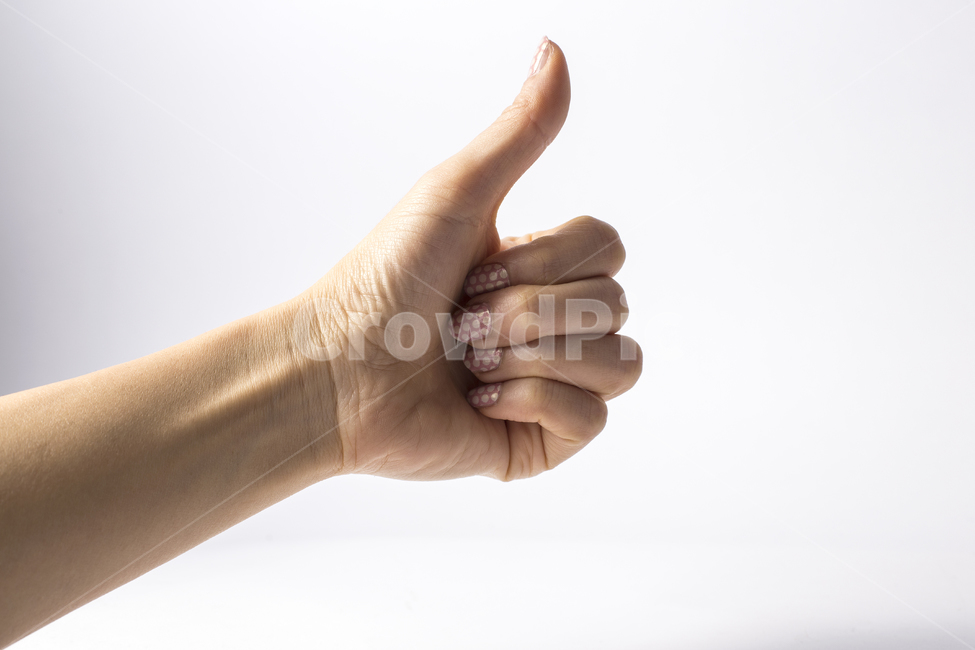 손,손가락,사람,팔,엄지,엄지척,굿,최고,여자손,여자,동양인,손모양,손짓,제스처,표현,사람,인물,인간,human,person,신체일부,몸,body,손,제스처,표시,손짓,표현,gesture,hand,sign,expression