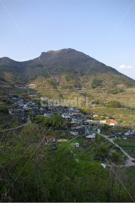 남해,가천마을,다랑이논,다랑이,풍경,나무,논,마을,시골,마을,풍경,landscape,country,rural,town