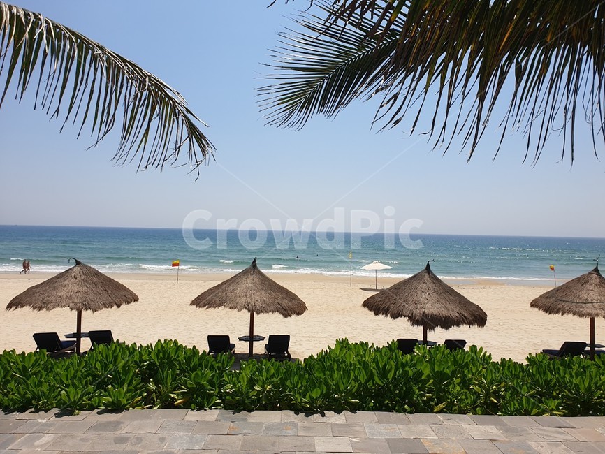 summer,여름,바다,비치,리조트,여름,계절,summer,season,해변,바다,beach,sea