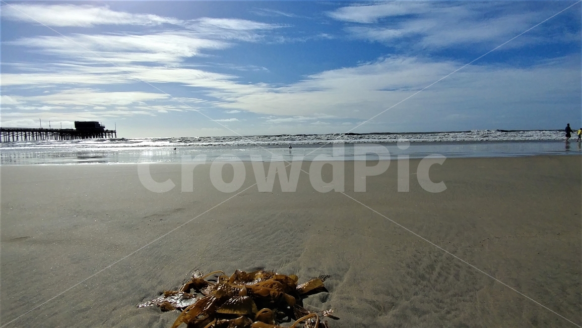 바다,하늘,바람,파도,모래사장,태평양,뉴포트비치,남가주,PacificOcean,NewPortBeach,southernCalifornia,seascape,풍경,여행,자연,풍경,nature,landscape,해변,바다,beach,sea,해외,외국,세계,foreign,oversea,world,wood,나무