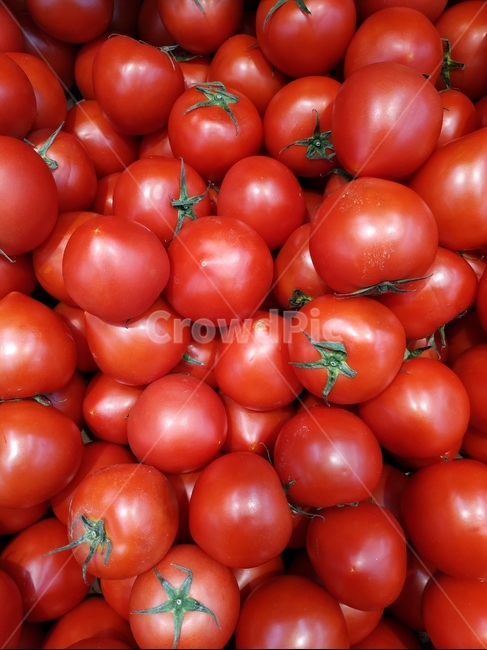 토마토,빨간색,tomato,red,과일,음식,식재료,요리,food,cook,meal,dishes,food reserves,과일,열매,fruit
