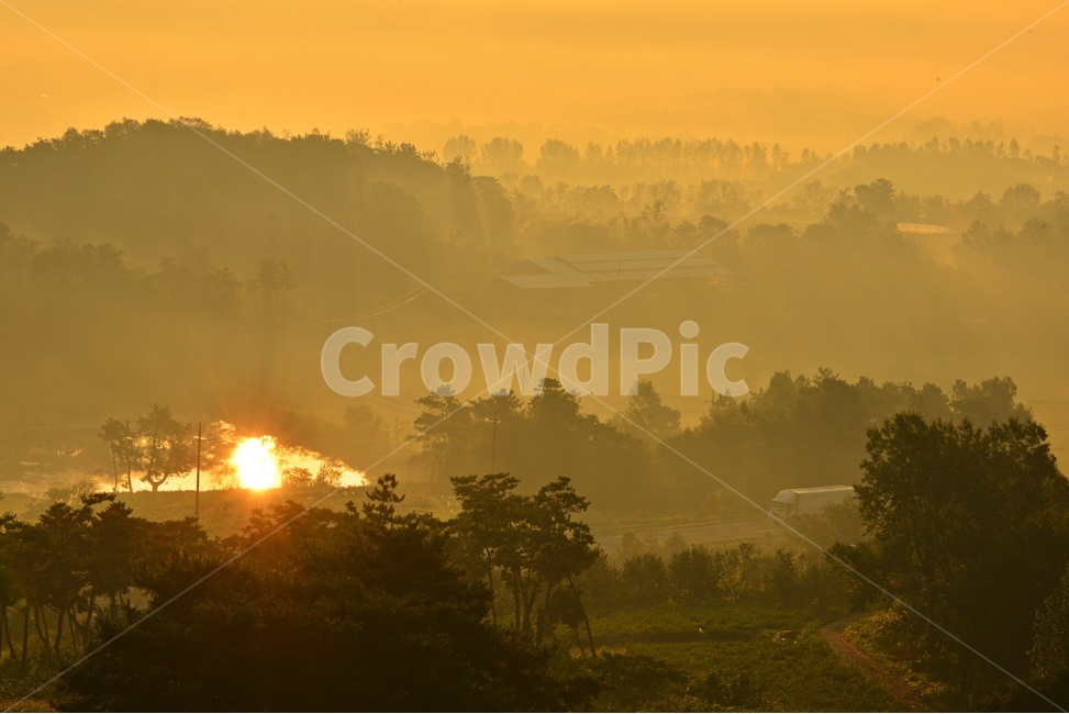전남,함평,밀재,밀재아침,일출,여명,flare,플레어,light,빛,nature,자연,weather,날씨,outdoors,옥외,plant,식물,꽃,flower,식물,자연,plants,nature
