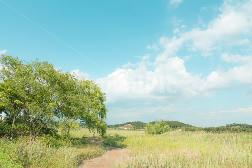 하늘,반영,구름,풍경,맑음,자연,풍경,nature,landscape,grassland,목초지,field,들,outdoors,옥외