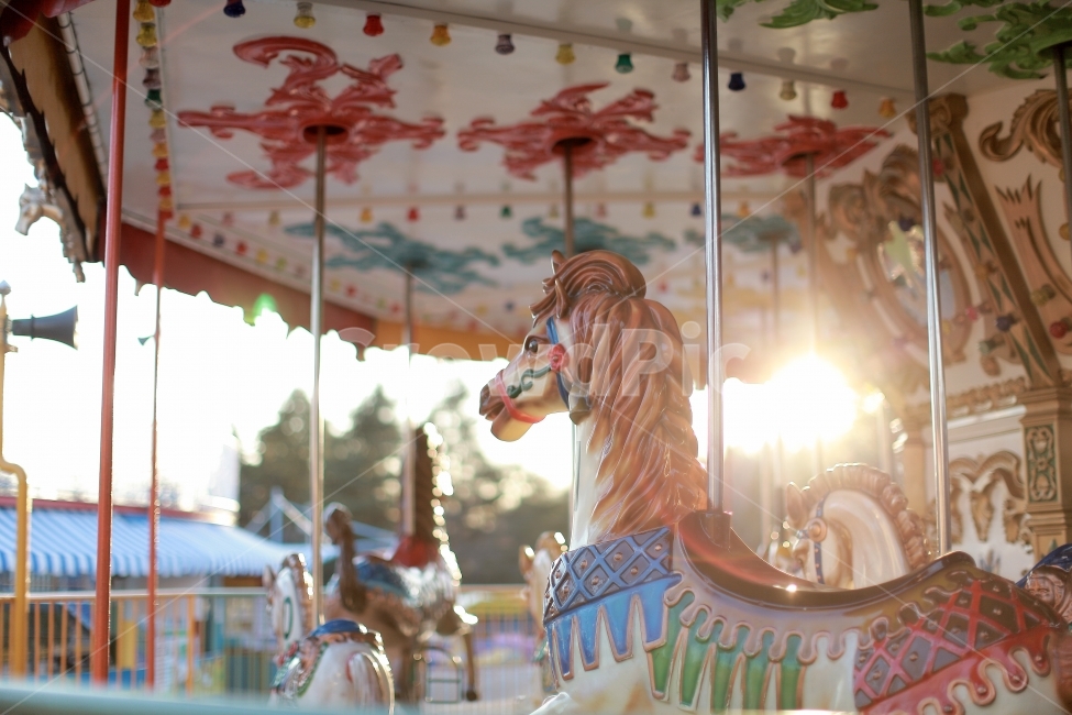 감성,감성사진,회전목마,목마,전주동물원,놀이공원,놀이동산,놀이터,amusement park,playground,감성,sensible,feeling