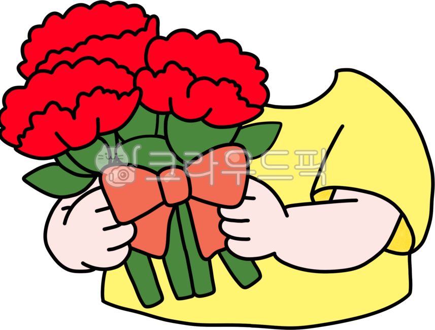 Carnation,Parents' Day,Family Month,Flower,Plant