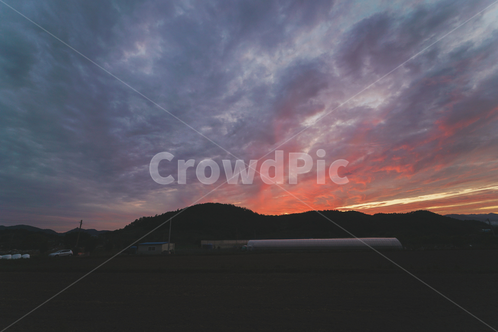 석양,노을,매직아워,색감,감성사진,나무,해질녘,자연,풍경,nature,landscape,outdoors,옥외,sky,하늘,dawn,새벽,red sky,붉은 하늘,sunset,일몰,dusk,황혼