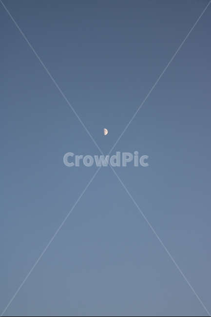 하늘,달,sky,moon,blue,자연,풍경,nature,landscape,flying,나는,bird,새,animal,동물