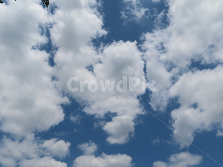 구름,하늘,자연,흰색,파랑색,아름다움,풍경,cloud,sky,white,blue,beauty,nature,scenery