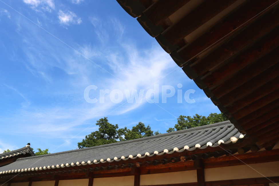 경복궁,고궁,기와지붕,광화문,옛날집,서울,나무,하늘,한국전통,한국문화,korean traditional,korean culture,랜드마크,landmark,tourist attraction,한국랜드마크,한국관광지,한국명소,korea landmark,korea tourist attraction,건축물,건물외관,exterior,building,structure,architecture,construction