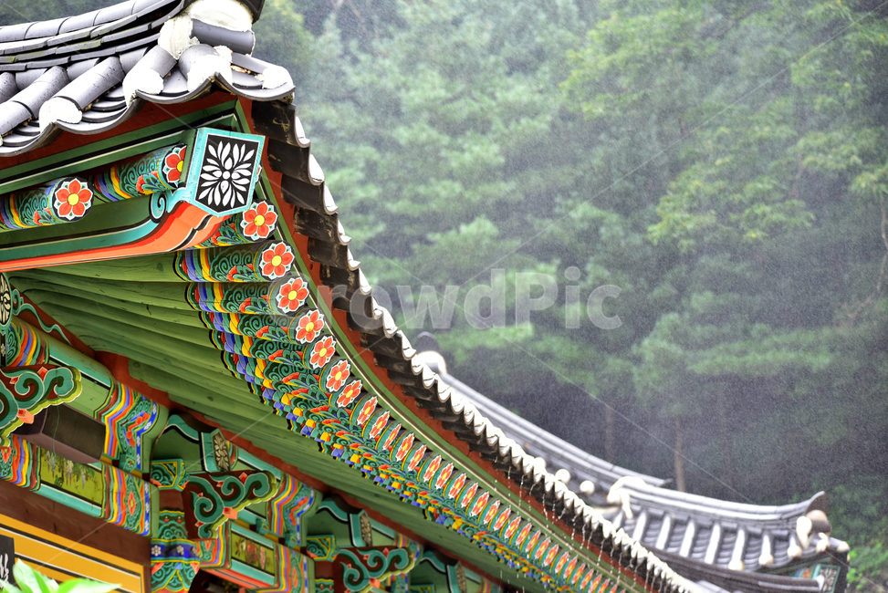처마,절,절지붕,지붕,신전,건물,이슬비,비,분무,building,temple,architecture,roof,한국전통,한국문화,korean traditional,korean culture