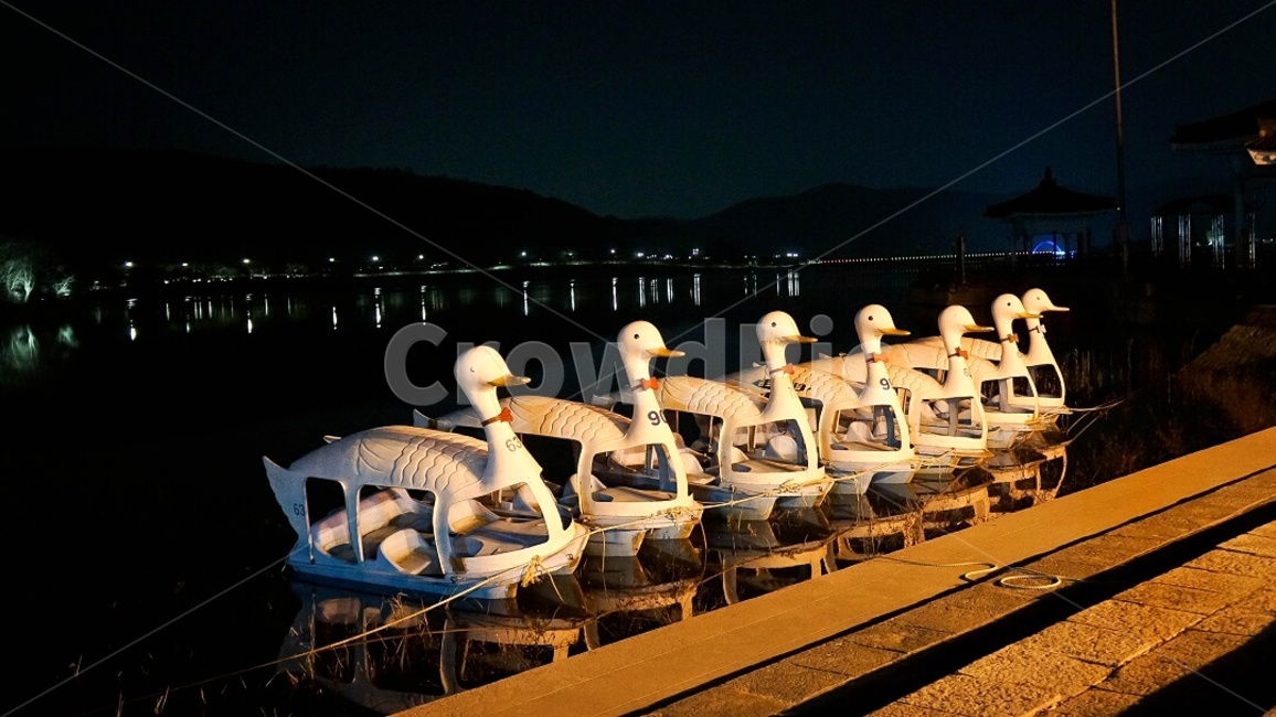 보문단지,오리배,정박,나란히,보문단지밤풍경,놀이기구