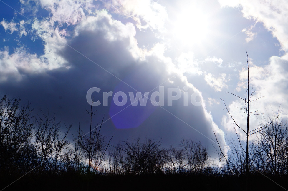 해,구름,나무,햇빛,풍경,자연,풍경,nature,landscape,light,빛,flare,플레어,sunlight
