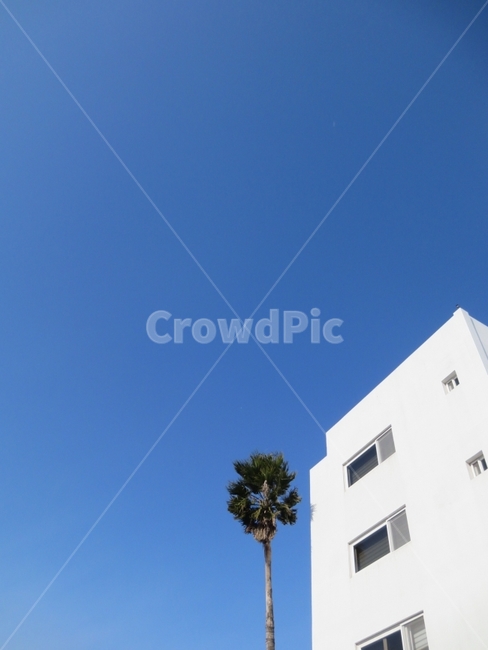 하늘,건물,풍경,맑음,제주도,식물,자연,plants,nature,나무,trees,wood,건축물,건물외관,exterior,building,structure,architecture,construction