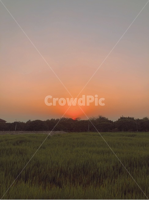 치앙마이휴양지,치앙마이,치앙마이선셋,논,sunset,치앙마이노을,국외,풍경,자연,논밭,일몰