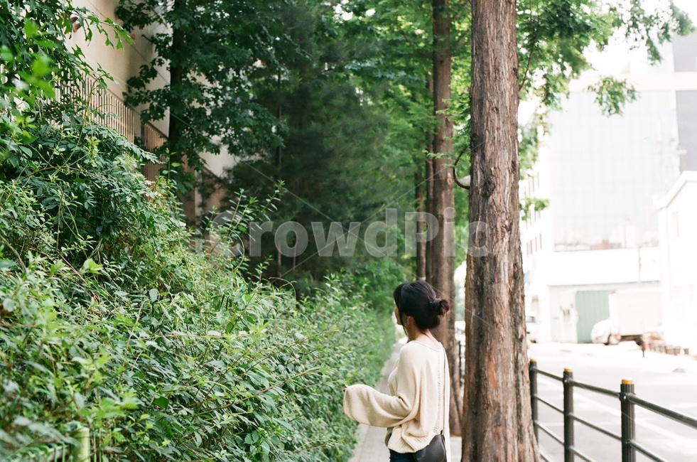 감성,필름,뒷모습,인물,여자,자연스러움,lady,꽃,flower,woman,natural,feeling,female,motion,동작,감성사진,자연,식물,인간,human,빨강,색감,색상,color,힐링,나무,스냅샷,감성스냅,여성,분위기,일상,아날로그,자연,풍경,nature,landscape,사람,인물,인간,human,person,여성,여자,woman,female,lady
