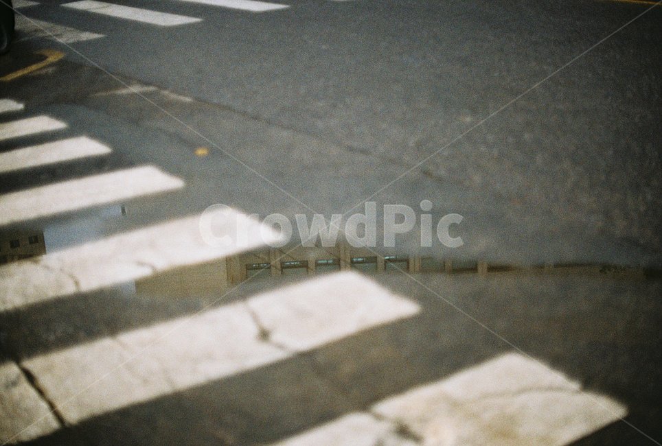 횡단보도,아스팔트,도로,필름사진,필름,crosswalk,pedestriancrossing,zebracrossing,road,asphalt,film,glacing