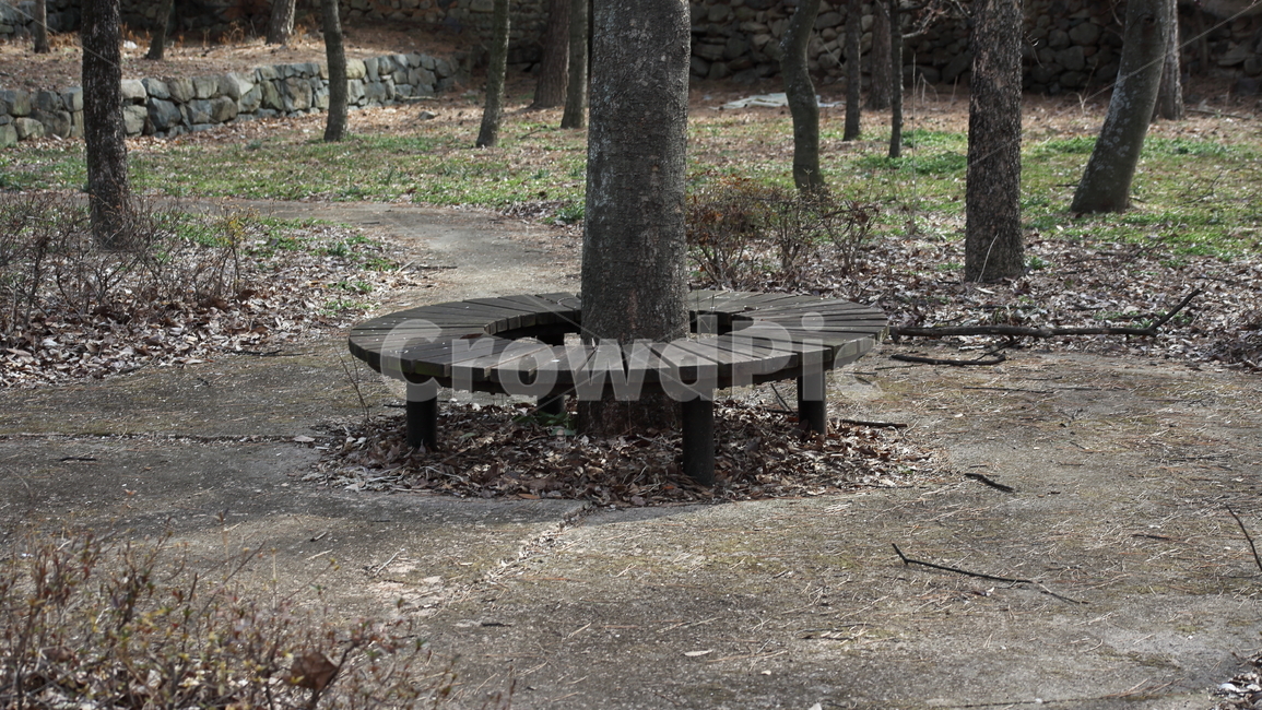 휴식,여유,chair,rest,벤치,의자,자연,풍경,nature,landscape,ground,바닥,bench,plant,식물,tree,나무,tree trunk,나무 줄기