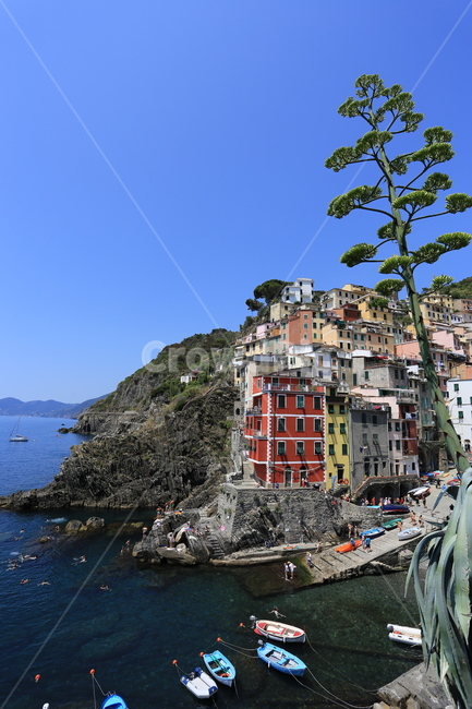 이태리,이탈리아,친퀘테레,italy,cinqueterre,마나롤라,유럽,바다,마을,언덕,산,보트,나무