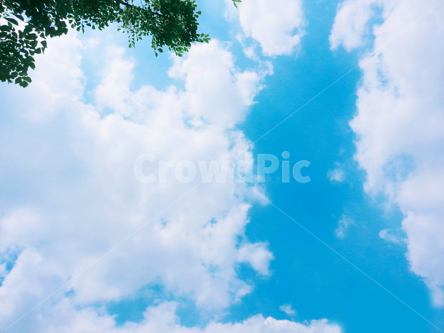 하늘,푸른,구름,자연,시원한,파아란,나무,자연,풍경,nature,landscape,sky,azure sky,푸른 하늘,outdoors,옥외