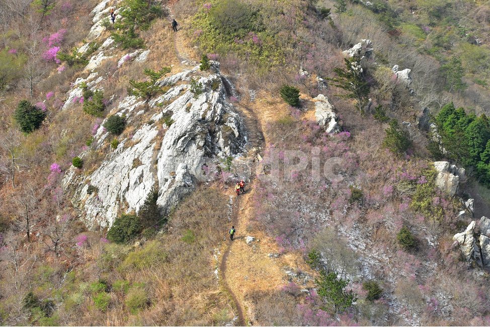 주작산,덕룡산,종주,진달래,풍경,기암,바위,비경,봄풍경,진달래꽃,강진,명산,산행,등산,마운틴,힐링,mountain,landscape,자연,natural,봄,계절,spring,season,자연,풍경,nature,landscape,한국자연풍경,한국자연경관,korea nature landscape,slope,경사,outdoors,옥외