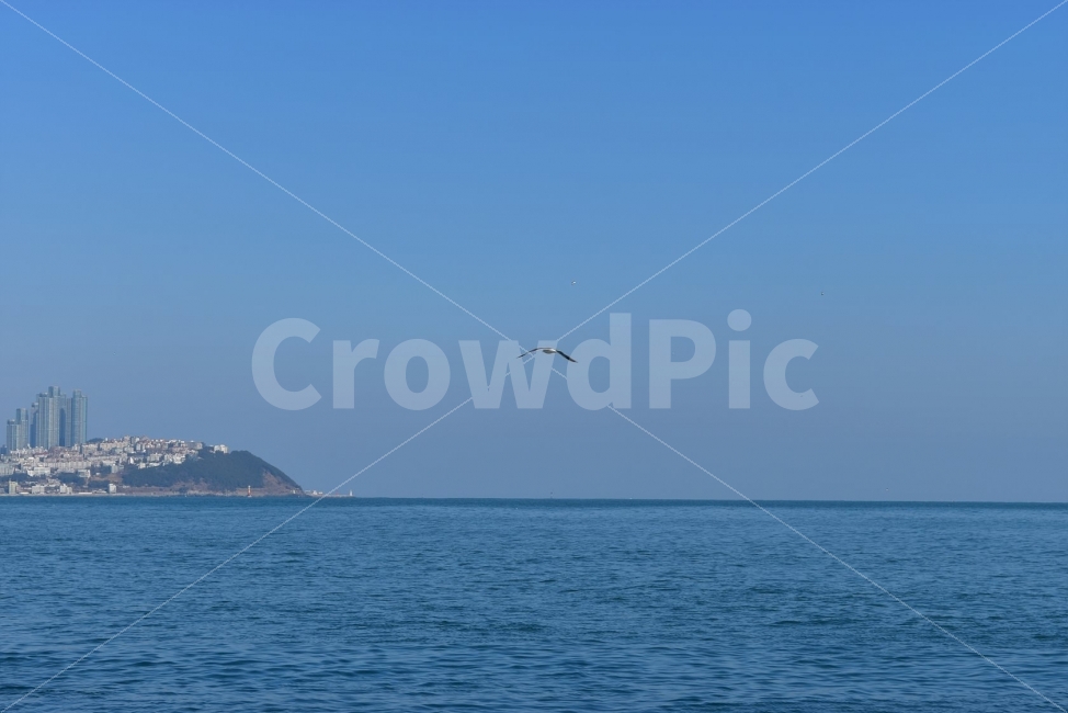 부산,바다,풍경,이기대,갯바위,겨울바다,바다내음,자연,명소,해안,해파랑길,갈맷길,자연,풍경,nature,landscape,도시,city,동물,animal,조류,새,birds,outdoors,옥외,ocean,대양,water,물,sea,land,땅,adventure,모험,leisure activities,레저 활동,bird