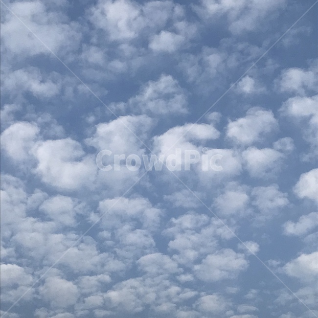 자연,날씨,맑음,구름,푸른하늘
