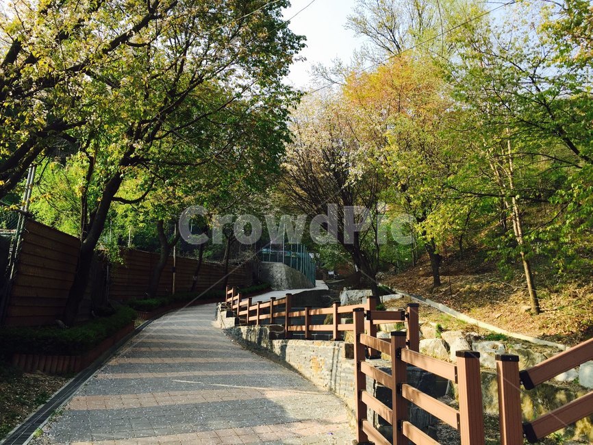 산책길,등산,뒷동산,휴식,봄