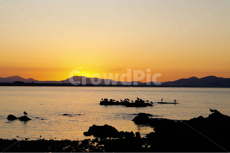 바다,일출,해,풍경,아침,자연,풍경,nature,landscape,한국자연풍경,한국자연경관,korea nature landscape,outdoors,옥외,red sky,붉은 하늘,dawn,새벽,dusk,황혼,sunset,일몰,sky,하늘,sunlight,햇빛