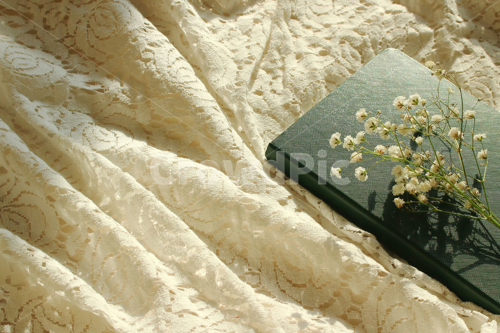 책,일기,일기장,다이어리,메모,기록,diary,안개꽃,꽃,flower,레이스,꽃,flower,감성,sensible,feeling,학용품,문구류,사무용품,school supplies,stationery,office supplies