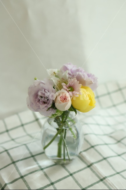 plant,flower,blossom,feeling,sensible,nature,식물,꽃,자연,색감,색깔,색채,시즌,감성사진,힐링,감성,배경,봄,근접,접사,리시안셔스,장미,카탈리나,알스트로메리아,체크,테이블보,유리병,꽃병,vase,실내용화초,화분,화초,house plant