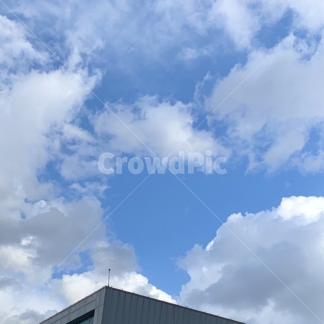 nature,자연,weather,날씨,sky,구름,cloud,옥외,outdoors,하늘,cumulus,적운