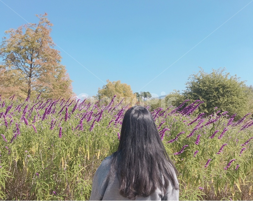 여자뒷모습,여자,보라꽃,꽃,여유,바라보다