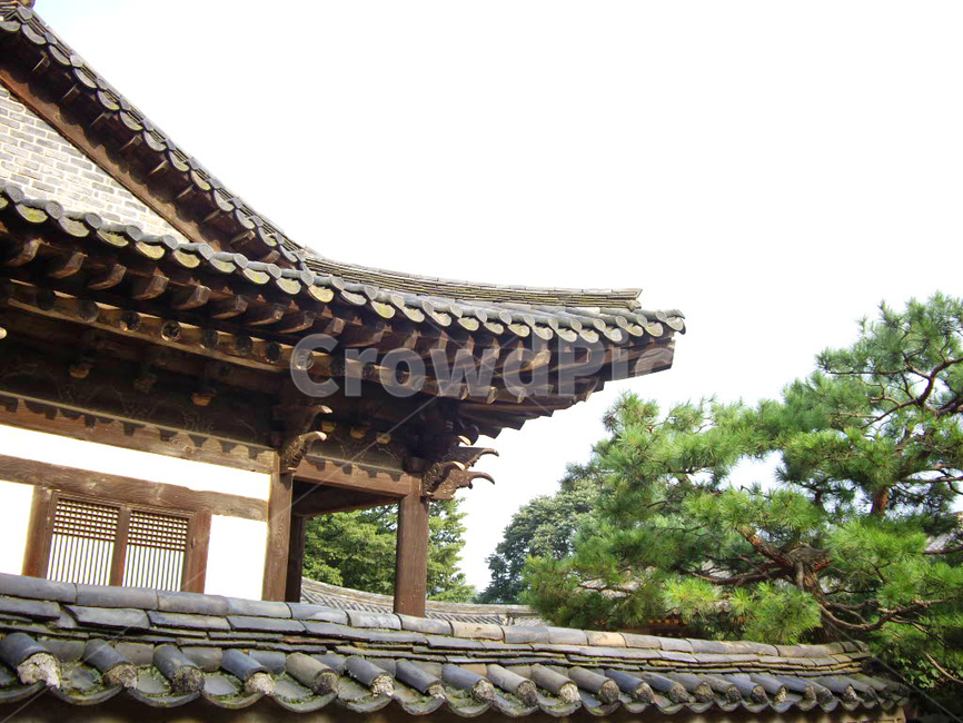 민속촌,민속마을,한옥,기와집,담장,한국전통,전통,전통마을,한국문화,보존,한국의미,옛마을,village,nature,자연,풍경,주거지,korean,traditional,culture,나무