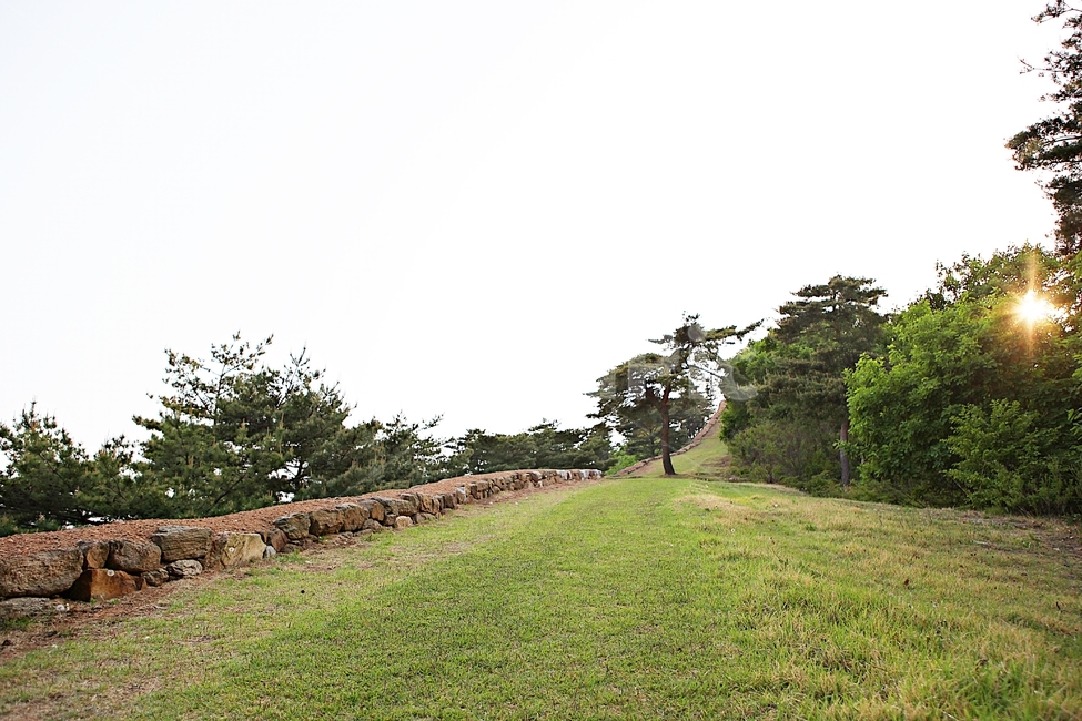 성,전등사,성곽,둘레길,돌담,풍경,배경,자연