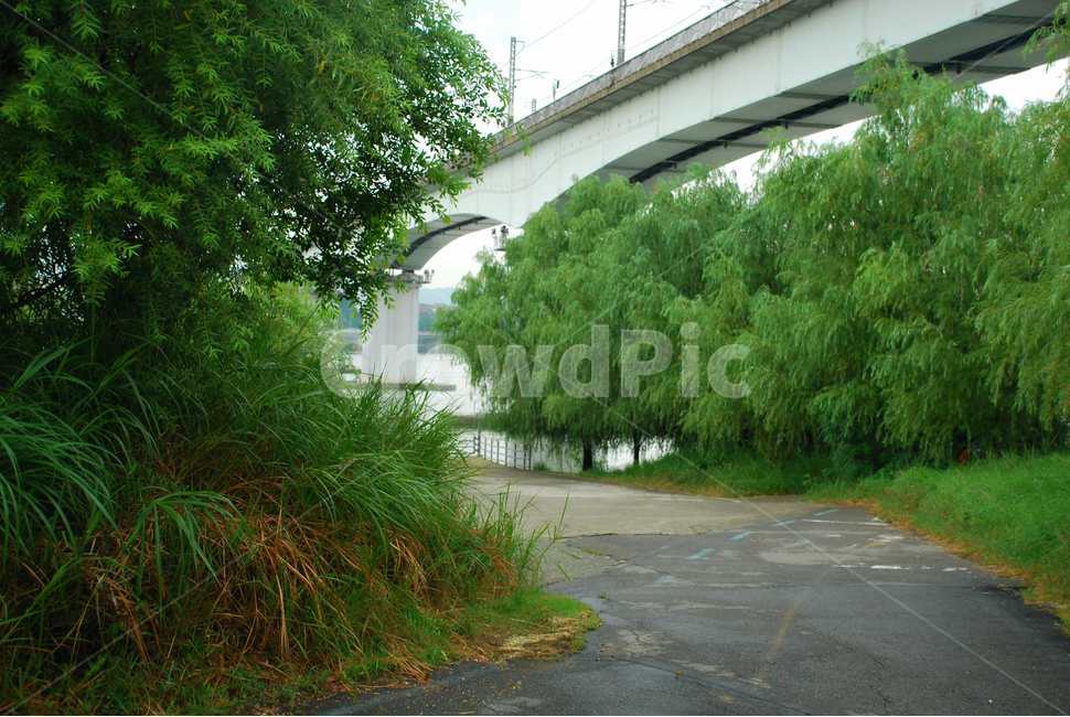 한강,나무,푸른색,여름,길,자연,풍경,nature,landscape,tree,plant,식물,outdoors,옥외