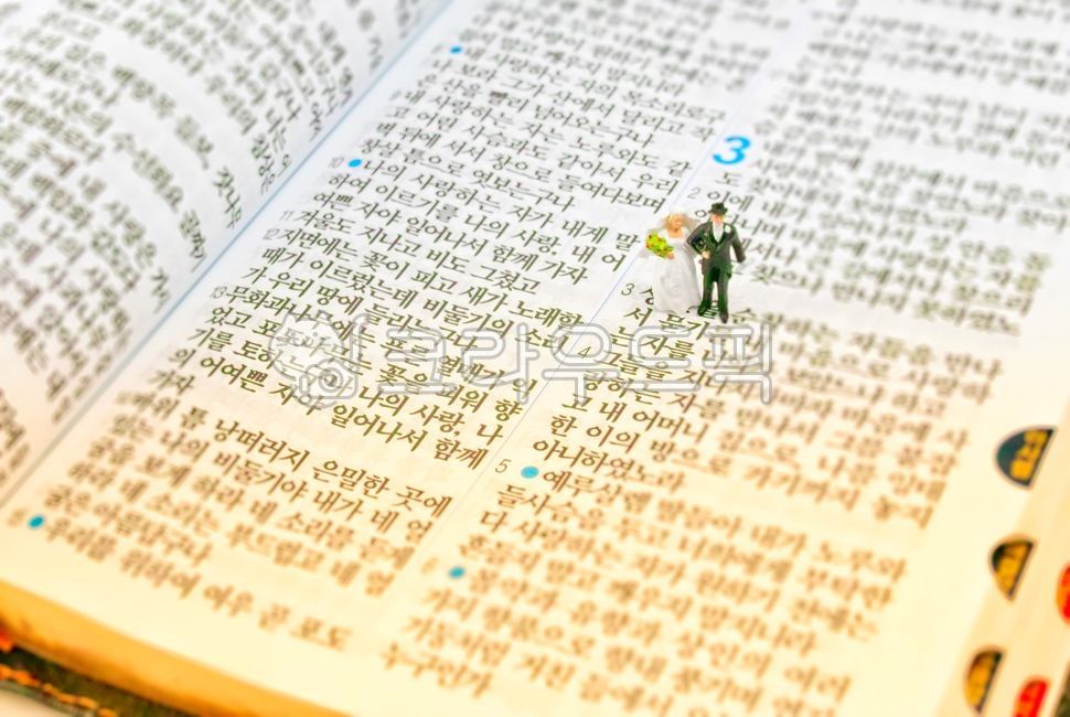 성경,성경말씀,아가서,결혼예식,혼인예식,기독교,개신교,청첩카드,청첩장,구약성경,솔로몬의시,결혼,혼인,신랑,신부,신랑신부,행진,출발,아가서2장