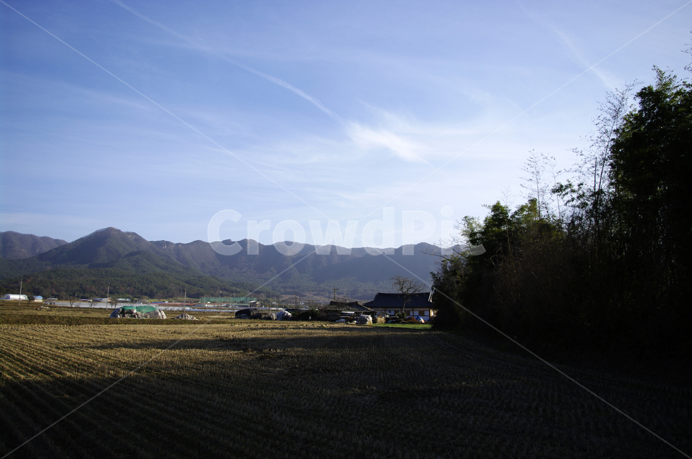 하늘,나무,논,풍경,산,시골,시골,마을,풍경,landscape,country,rural,town