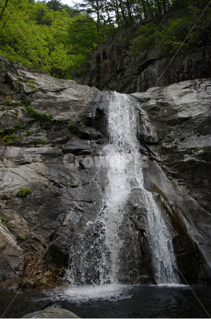 폭포,강물,바위,나무,숲,폭포수,자연,풍경,nature,landscape,한국자연풍경,한국자연경관,korea nature landscape,outdoors,옥외,river,강,water,물,waterfall