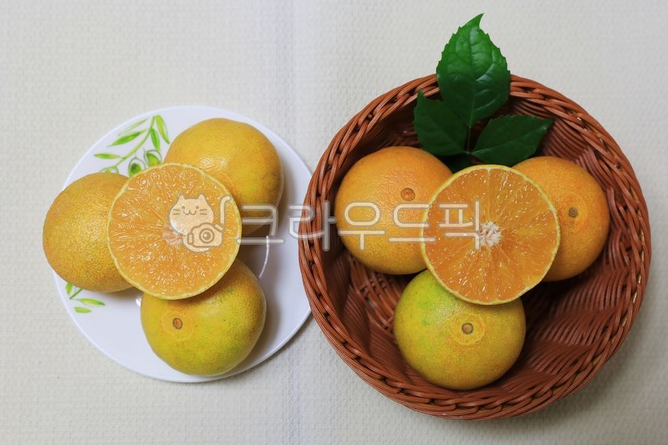 감귤류,orange,천혜향,황금향,레드향,귤,밀감,제주감귤,과일,fruit,food,그릇,초록잎,노랑,맛있는,새콤한,달콤한,새콤달콤,노란과일,음식,식품