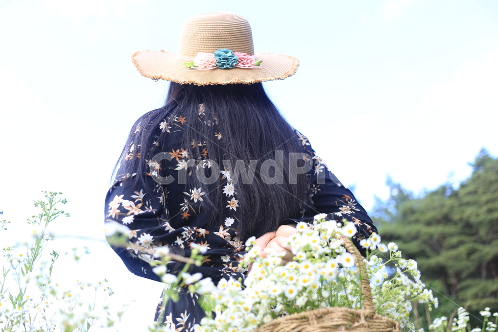 뒷모습,개망초,여름꽃,꽃바구니,하늘보는여자,산책,모자쓴여자,여성,여자,woman,female,lady