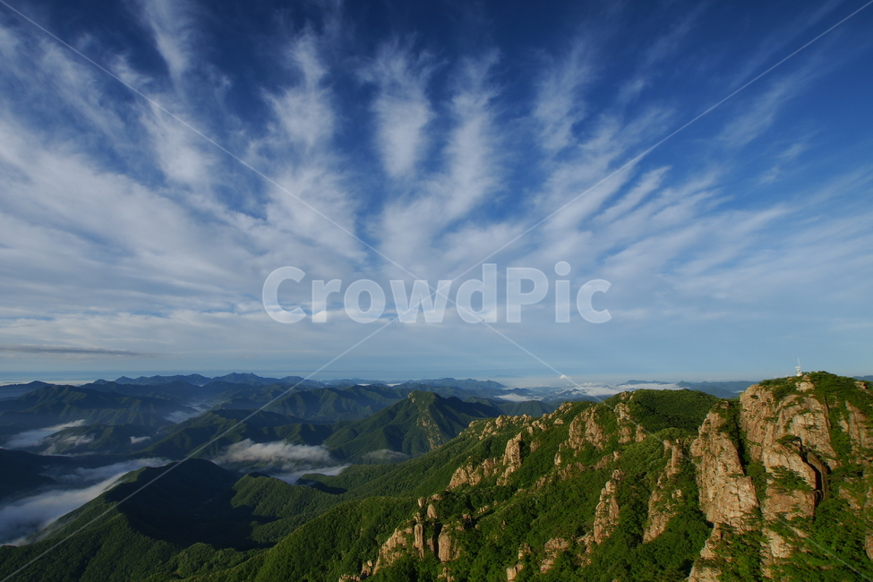 대둔산,운해,신록,구름,안개,소나무,완주군,자연,풍경,nature,landscape,한국자연풍경,한국자연경관,korea nature landscape,outdoors,옥외