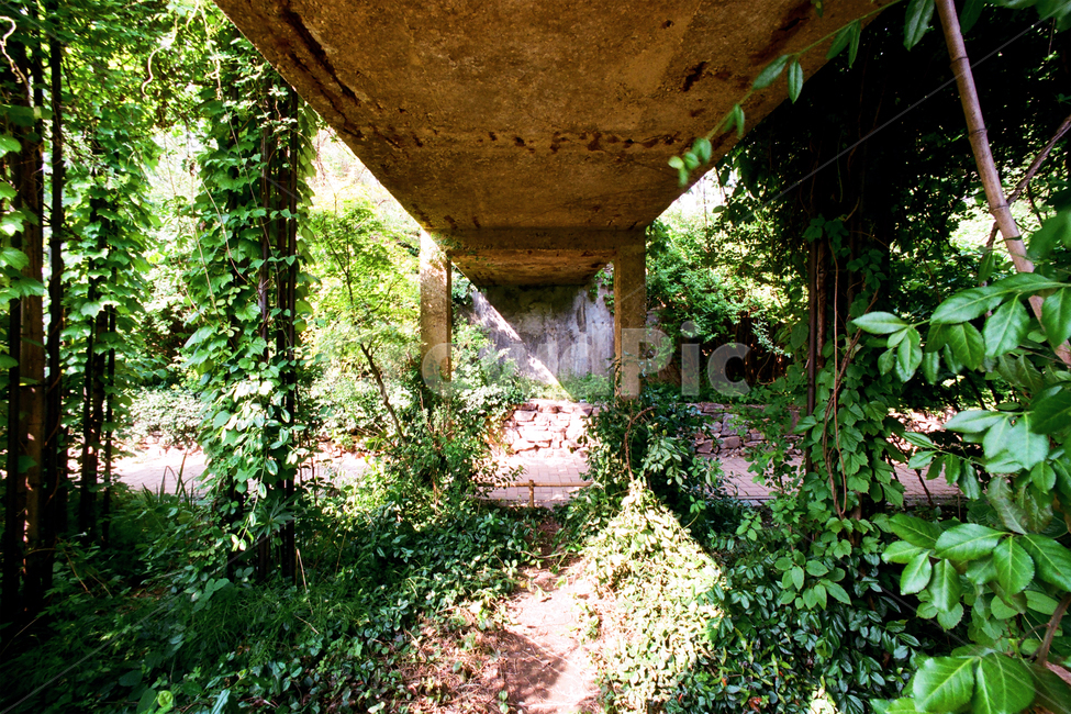 필름,필름사진,필름느낌,필름감성,정원,뜰,그림자,사선,대각선,garden
