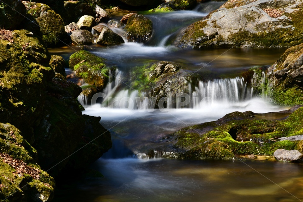 전남,봄,계절,plant,식물,장성,백양사,계곡,폭포,물흐름,이끼계곡,이끼,water,물,nature,자연,outdoors,옥외,stream,흐름,자연,풍경,nature,landscape