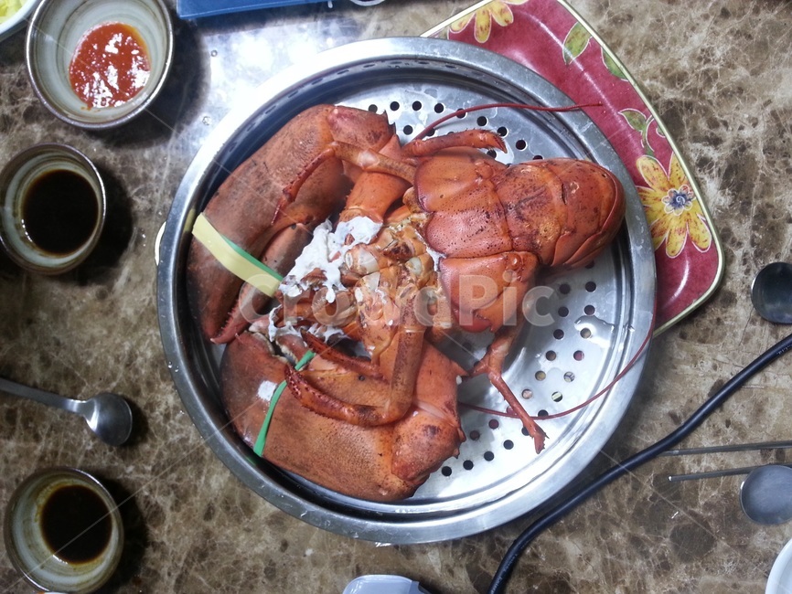 랍스타,왕발,3kg,집게발,food,dish,음식,식사