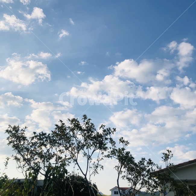하늘,구름,풍경,sky,colud,날씨,weather,자연,풍경,nature,landscape,나무,trees,wood,outdoors,옥외
